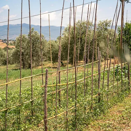 Bauernhof Il Querciolo - Azienda Biologica, E Cantina *