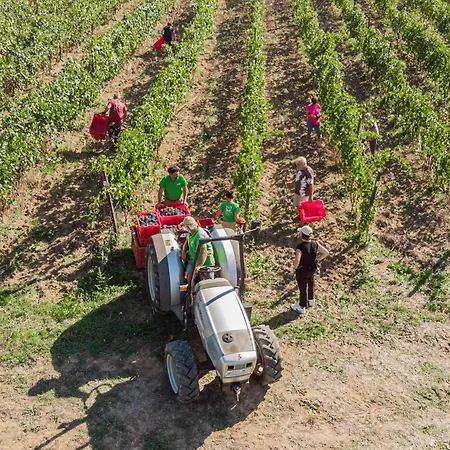 Bauernhof Il Querciolo - Azienda Biologica, E Cantina *