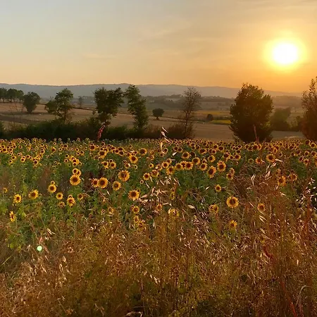 Bauernhof Il Querciolo - Azienda Biologica, E Cantina